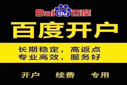 百度推广攻略：实操案例解读SEO优化之道